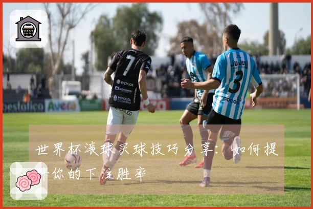 世界杯滚球买球技巧分享：如何提升你的下注胜率