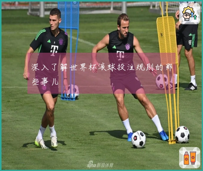 深入了解世界杯滚球投注规则的那些事儿