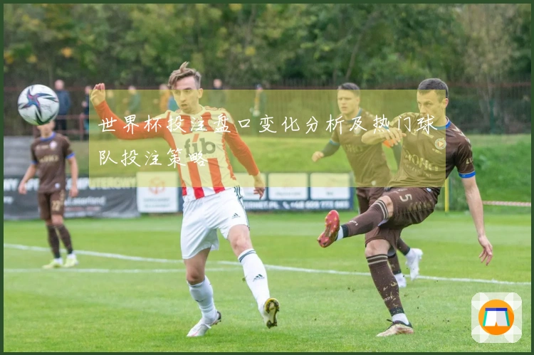 世界杯投注盘口变化分析及热门球队投注策略