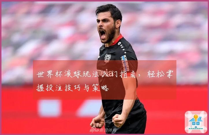 世界杯滚球玩法入门指南，轻松掌握投注技巧与策略