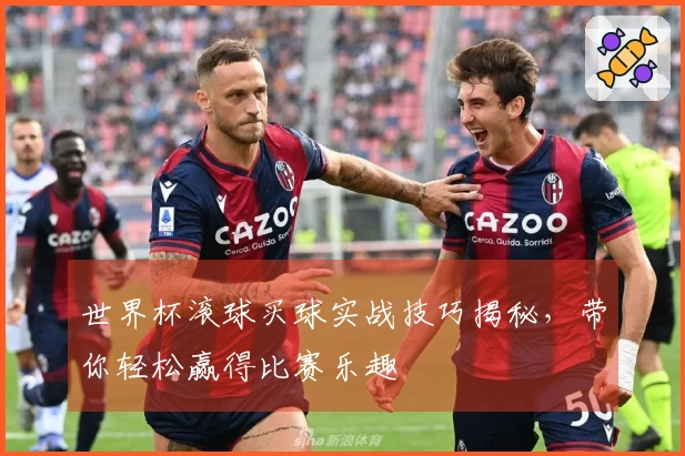 世界杯滚球买球实战技巧揭秘,带你轻松赢得比赛乐趣