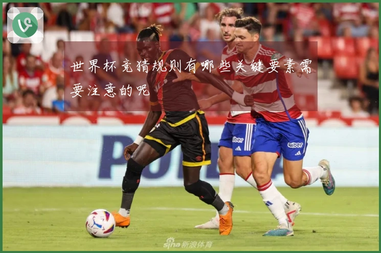 世界杯竞猜规则有哪些关键要素需要注意的呢