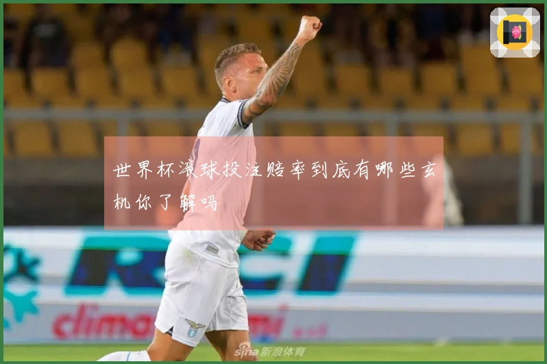 世界杯滚球投注赔率到底有哪些玄机你了解吗