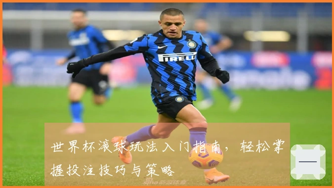 世界杯滚球玩法入门指南，轻松掌握投注技巧与策略